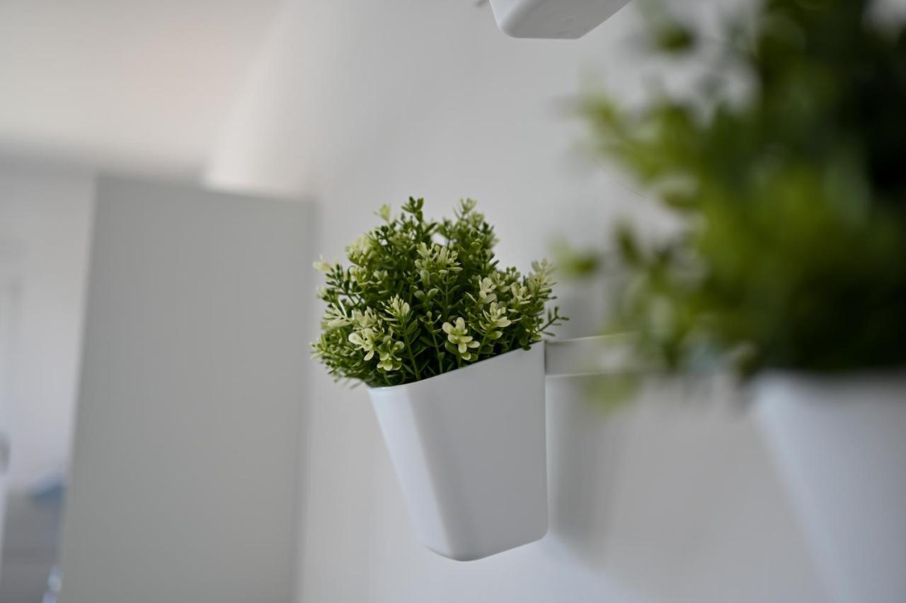 Apartman Frleta *