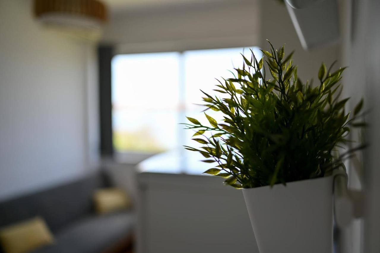Apartman Frleta